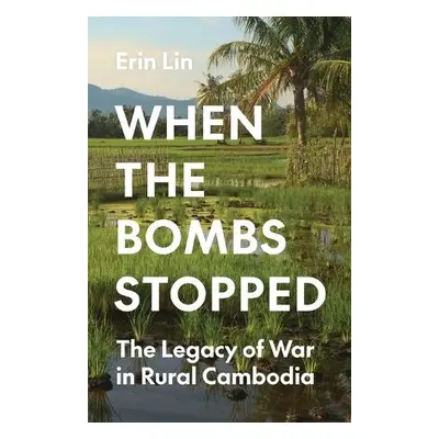 When the Bombs Stopped - Lin, Erin