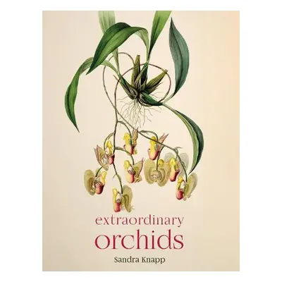 Extraordinary Orchids - Knapp, Sandra