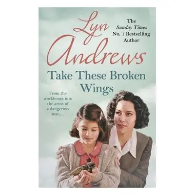 Take these Broken Wings - Andrews, Lyn