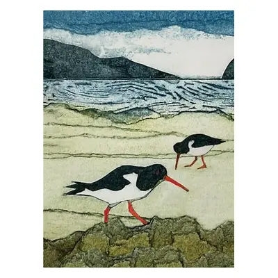 Wild Birds Pocket Notebook: Oystercatcher