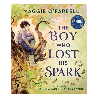 Boy Who Lost His Spark - O'Farrell, Maggie