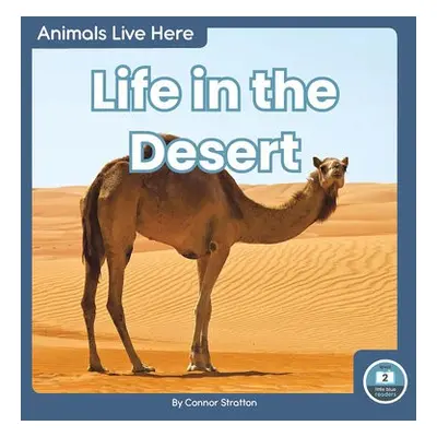 Animals Live Here: Life in the Desert - Stratton, Connor