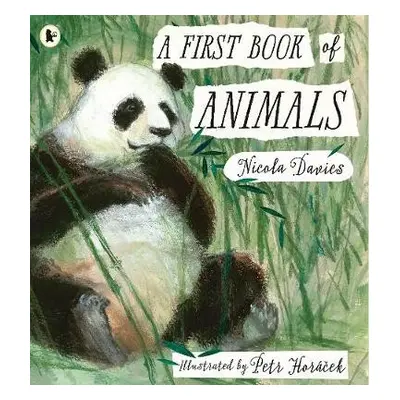 First Book of Animals - Davies, Nicola