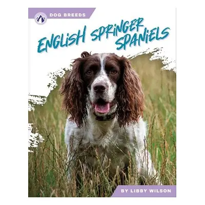 English Springer Spaniels - Wilson, Libby