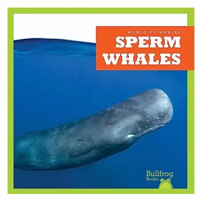 Sperm Whales - Chanez, Katie