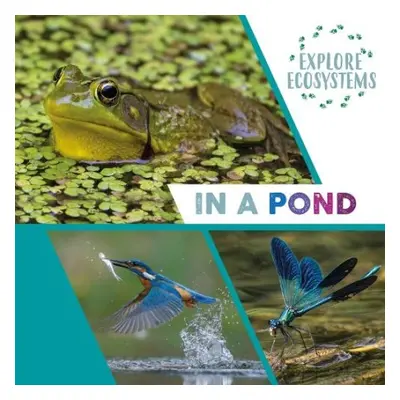 Explore Ecosystems: In a Pond - Ridley, Sarah