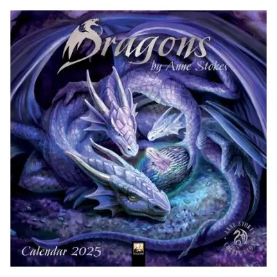 Dragons by Anne Stokes Wall Calendar 2025 (Art Calendar)