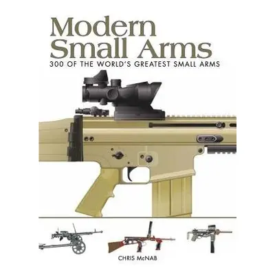 Modern Small Arms - McNab, Chris