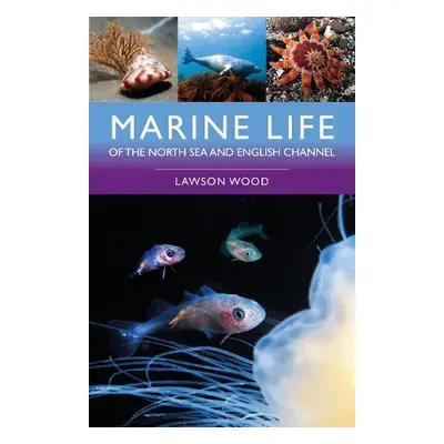 Marine Life of the North Sea and English Channel - Wood, Lawson