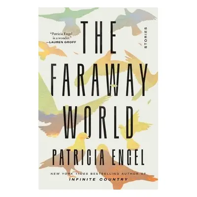 Faraway World - Engel, Patricia