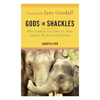 Gods in Shackles - Iyer, Sangita