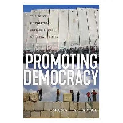 Promoting Democracy - Jamal, Manal A.