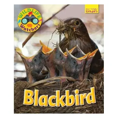 Wildlife Watchers: Blackbird - Owen, Ruth