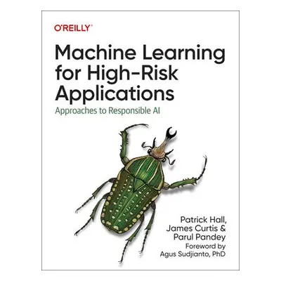 Machine Learning for High-Risk Applications - Hall, Patrick a Curtis, James a Pandey, Parul