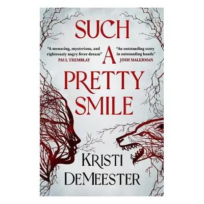 Such a Pretty Smile - DeMeester, Kristi