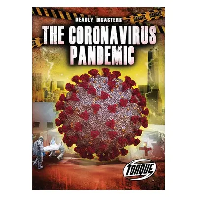 Corona Virus Pandemic - Sommer, Nathan