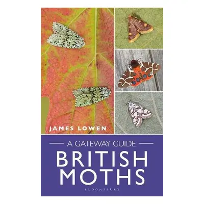 British Moths - Lowen, James