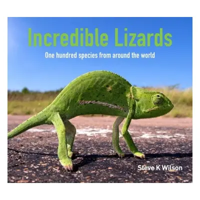 Incredible Lizards - Wilson, Steve K.