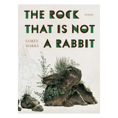 Rock That is Not a Rabbit - Marks, Corey