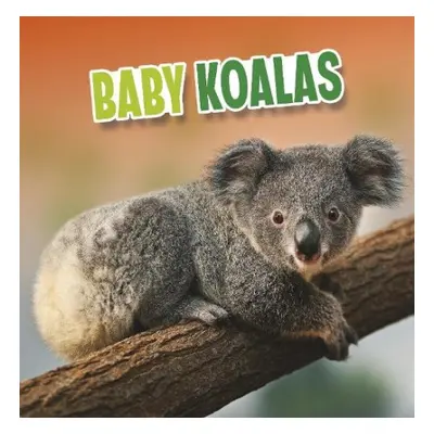 Baby Koalas - Rustad, Martha E. H.