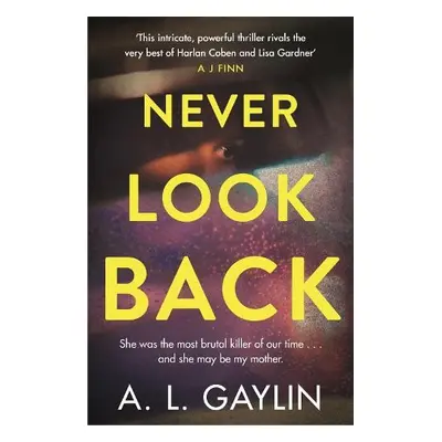 Never Look Back - Gaylin, A.L.