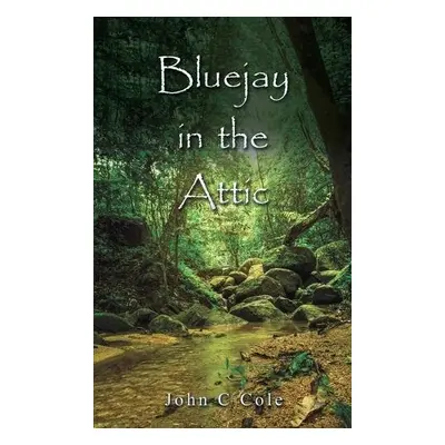 Bluejay in the Attic - Cole, John C