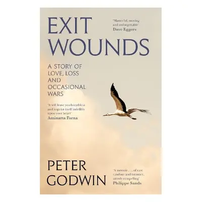 Exit Wounds - Godwin, Peter