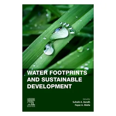 Water Footprints and Sustainable Development