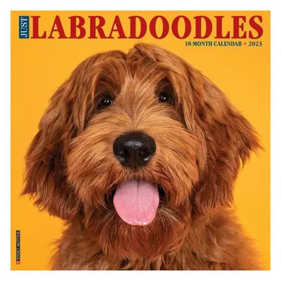 Just Labradoodles 2023 Wall Calendar - Willow Creek Press