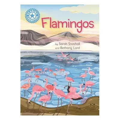 Reading Champion: Flamingos - Snashall, Sarah