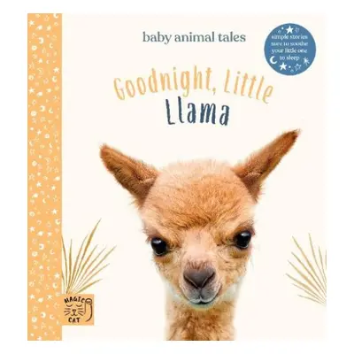 Goodnight Little Llama - Wood, Amanda