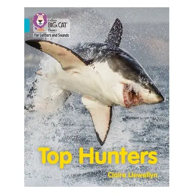 Top Hunters - Llewellyn, Claire