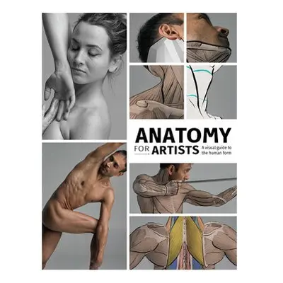 Anatomy for Artists