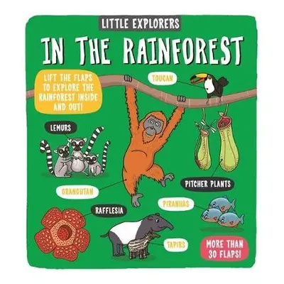 Little Explorers: In the Rainforest - Ltd., Dynamo