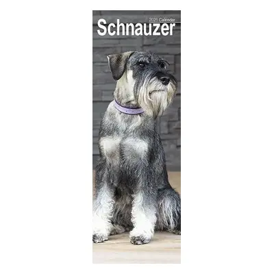 Schnauzer Slim Calendar 2025 Dog Breed Slimline Calendar - 12 Month