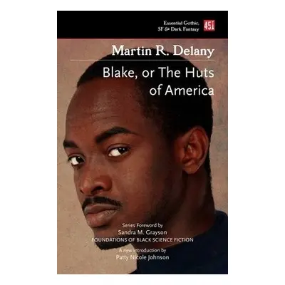 Blake; or The Huts of America - Delany, Martin R.