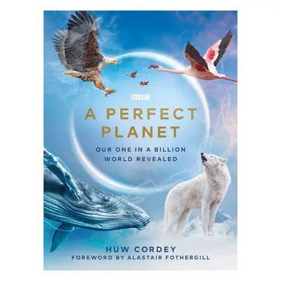 Perfect Planet - Cordey, Huw