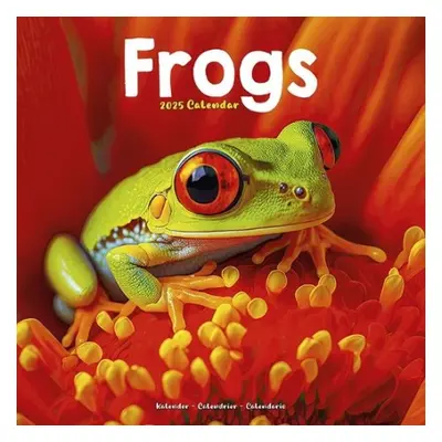 Frogs Calendar 2025 Square Animal Wall Calendar - 16 Month