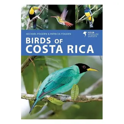 Birds of Costa Rica - Fogden, Michael a Fogden, Patricia