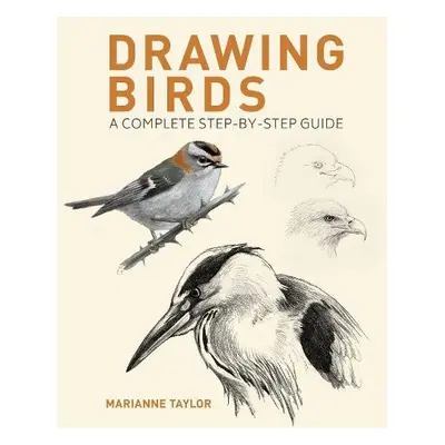 Drawing Birds - Taylor, Marianne