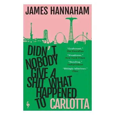 Didn't Nobody Give a Shit What Happened to Carlotta - Hannaham, James