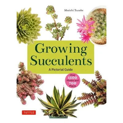 Growing Succulents - Tanabe, Shoichi