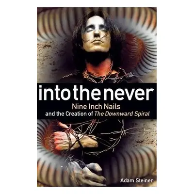 Into The Never - Steiner, Adam