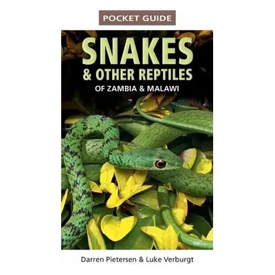 Pocket Guide to Snakes a Other Reptiles of Zambia and Malawi - Pietersen, Darren a Verburgt, Luk