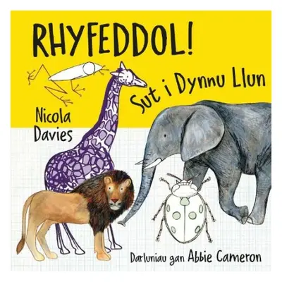 Rhyfeddol! Sut i Dynnu Llun - Davies, Nicola