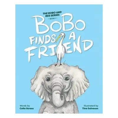 BoBo Finds a Friend - Straus, Celia a Salvesen, Tina