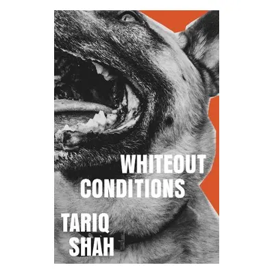 Whiteout Conditions - Shah, Tariq