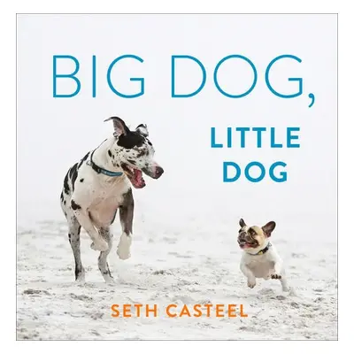 Big Dog, Little Dog - Casteel, Seth