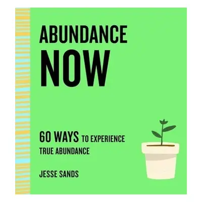 Abundance Now - Sands, Jesse