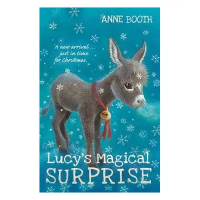 Lucy's Magical Surprise - Booth, Anne (, Kent, UK)